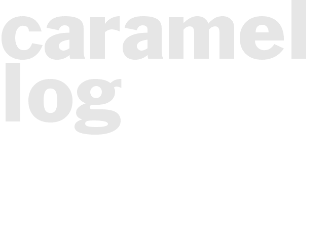 *CARAMEL LOG*