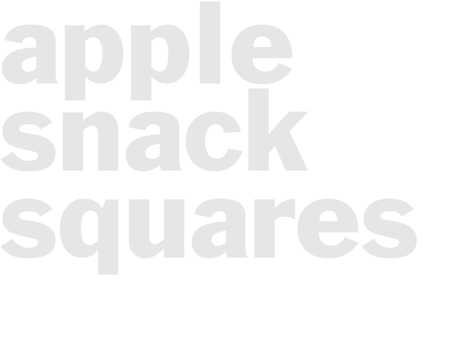 APPLE SNACK SQUARES