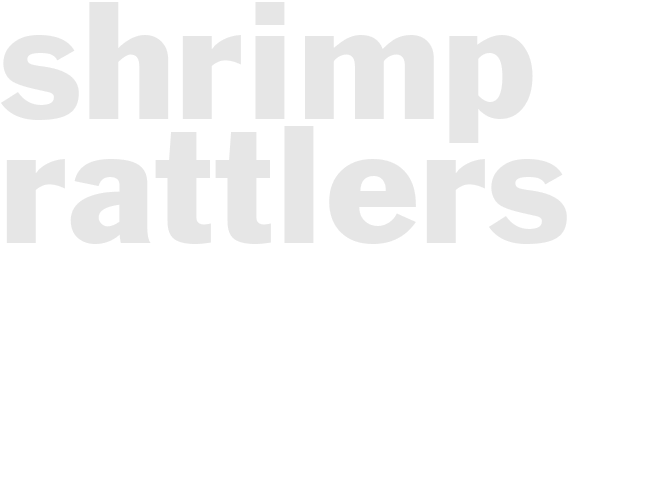 SHRIMP RATTLERS