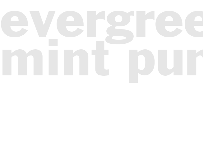 EVERGREEN MINT PUNCH
