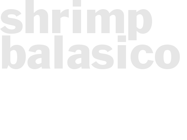 SHRIMP BALASICO