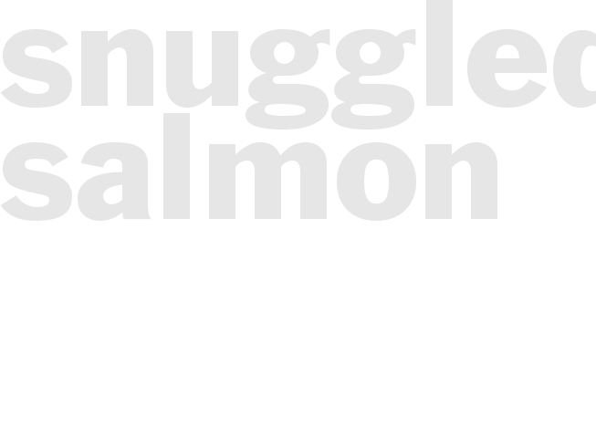 SNUGGLED SALMON
