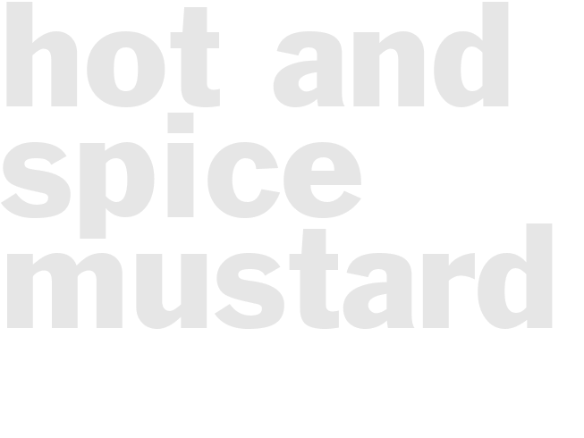 HOT AND SPICE MUSTARD