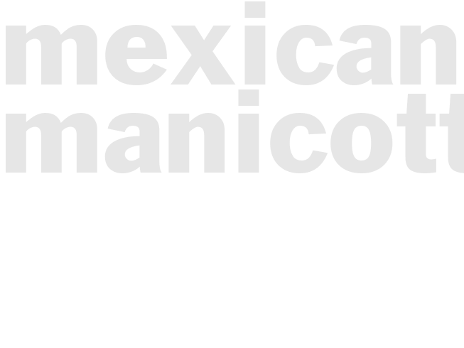 MEXICAN MANICOTTI 