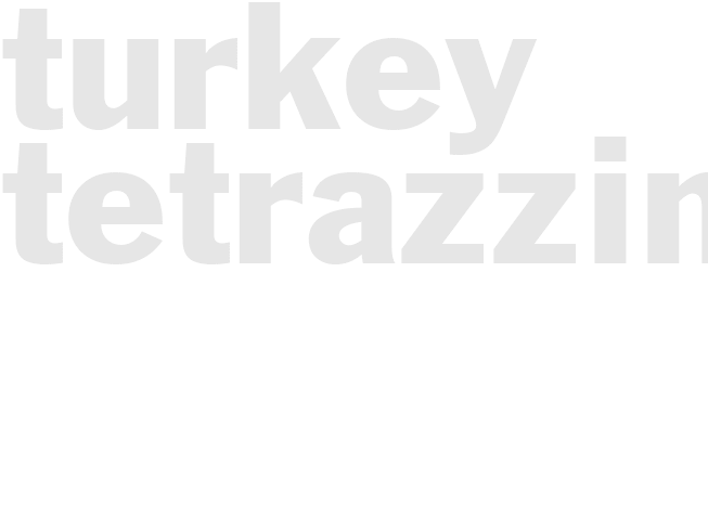 TURKEY TETRAZZINI