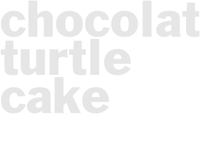 CHOCOLATE TURTLE CAKE