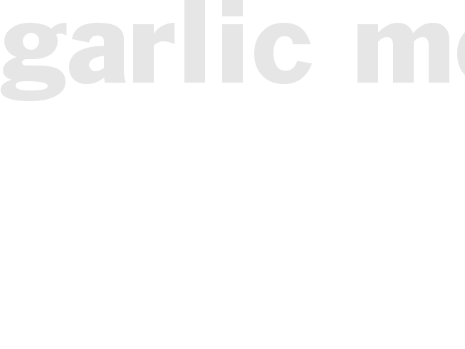GARLIC MOP
