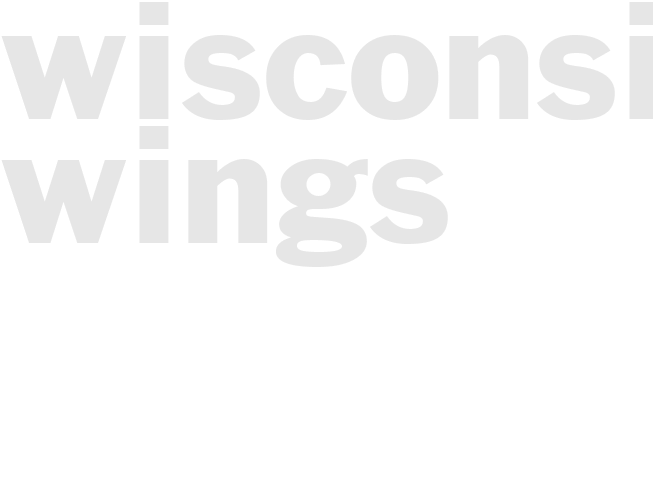 WISCONSIN WINGS