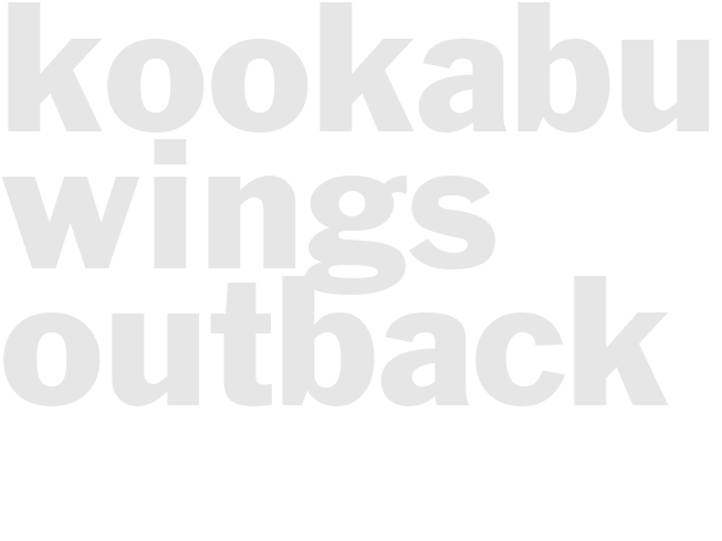 KOOKABURRA WINGS - Outback