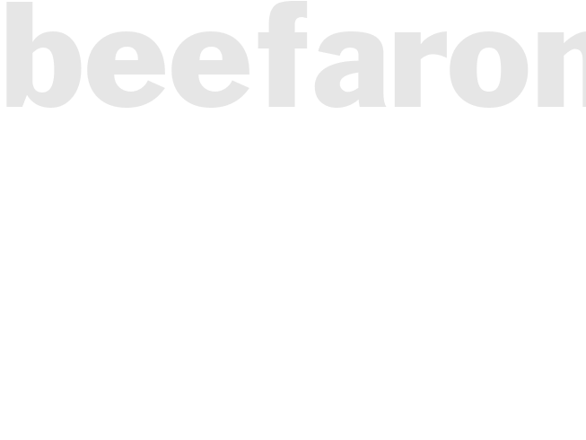 BEEFARONI