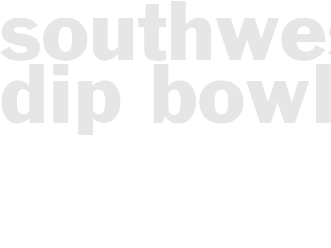 SOUTHWESTERN DIP BOWL 