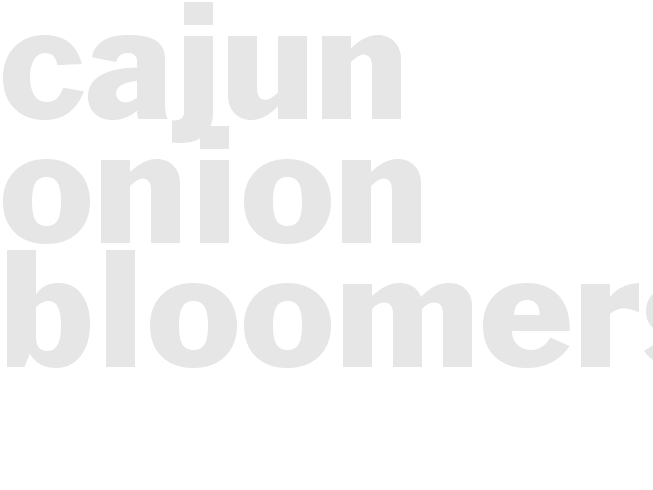 CAJUN ONION BLOOMERS 