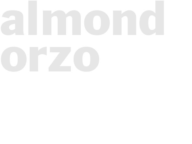 ALMOND ORZO