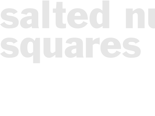 SALTED NUT SQUARES