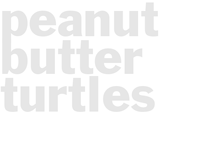 PEANUT BUTTER TURTLES