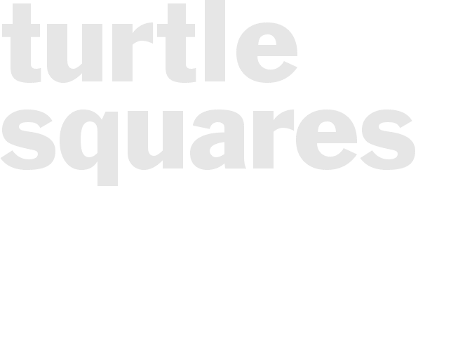 TURTLE SQUARES
