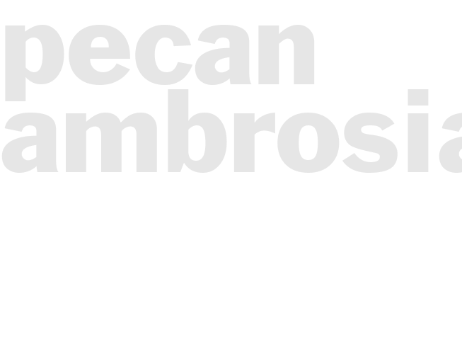 PECAN AMBROSIA