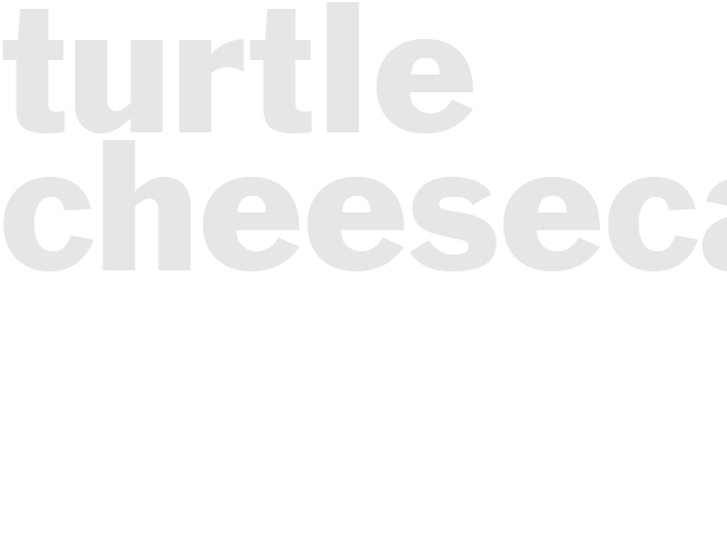 TURTLE CHEESECAKE