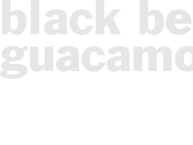 BLACK BEAN GUACAMOLE