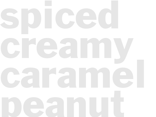 SPICED CREAMY CARAMEL-PEANUT TORTE