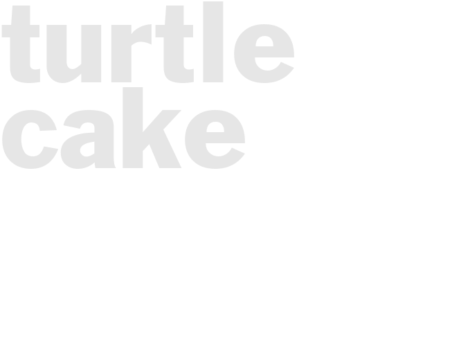 TURTLE CAKE