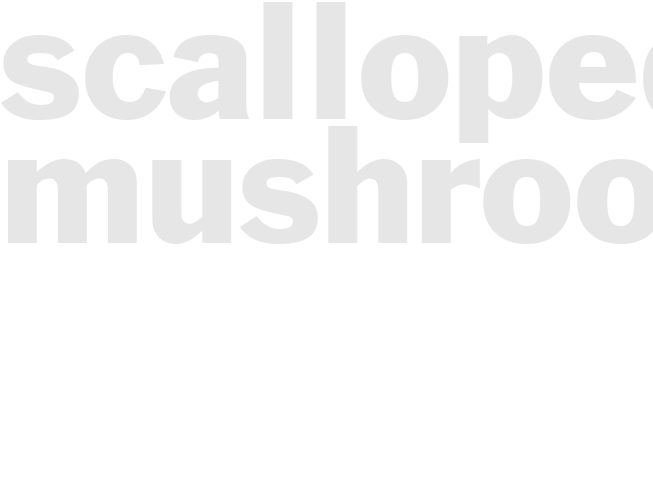 SCALLOPED MUSHROOMS