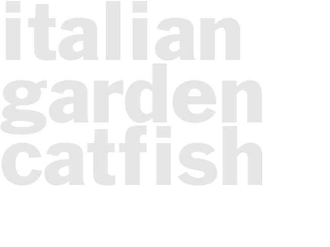 ITALIAN GARDEN CATFISH