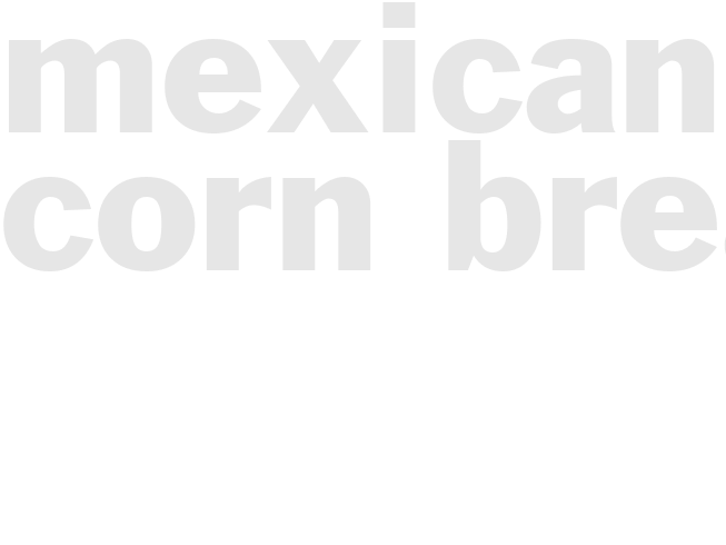 MEXICAN CORN BREAD