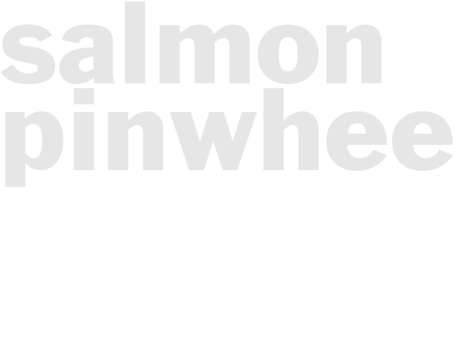 SALMON PINWHEELS