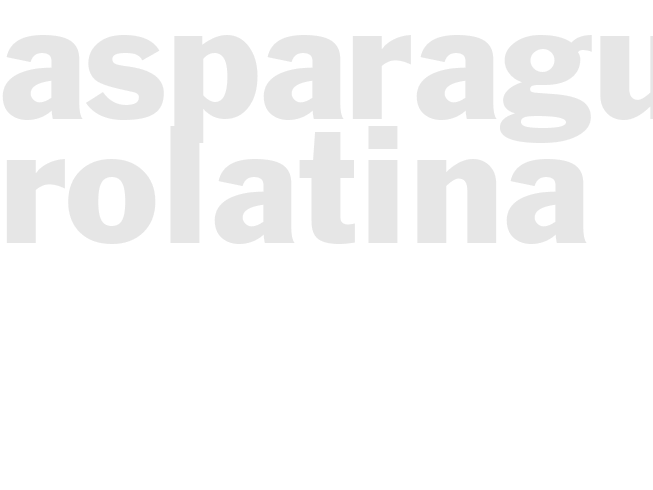 ASPARAGUS ROLATINA
