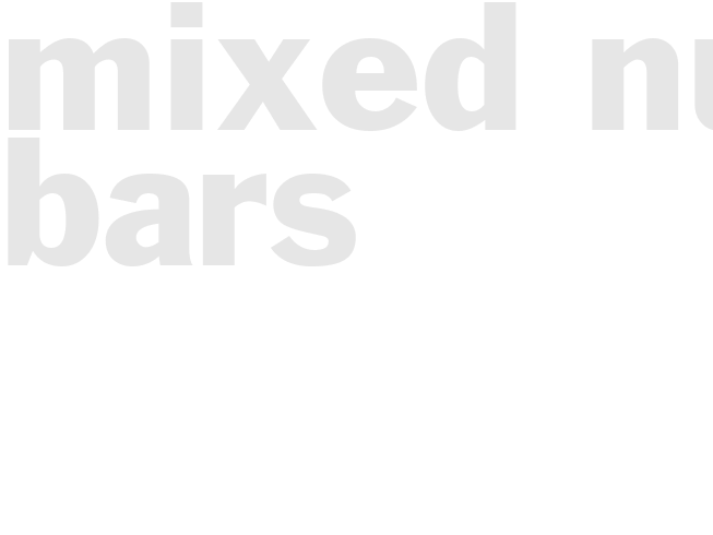MIXED NUT BARS   