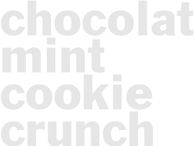 CHOCOLATE MINT COOKIE CRUNCH FUDGE 