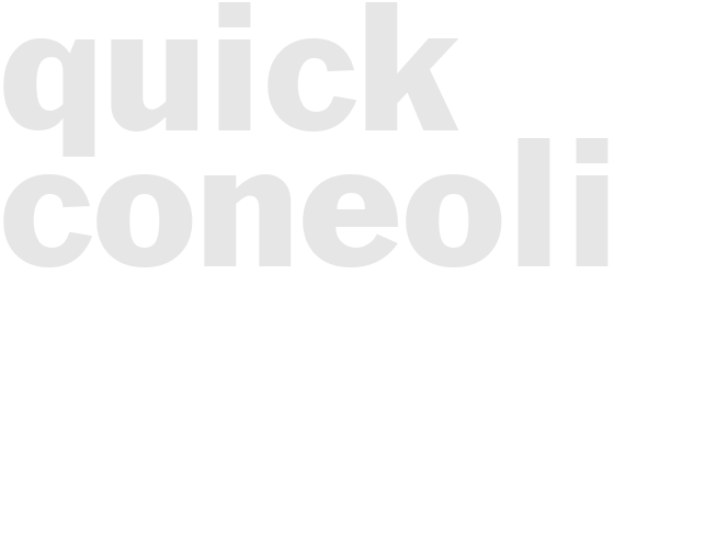 QUICK CONEOLI