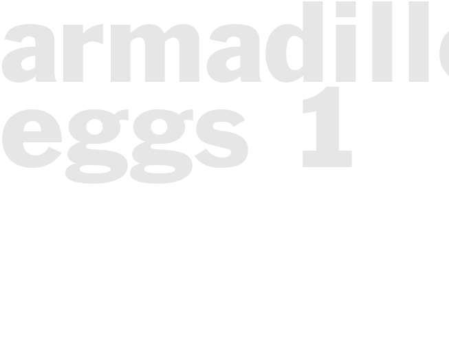 Armadillo Eggs 1