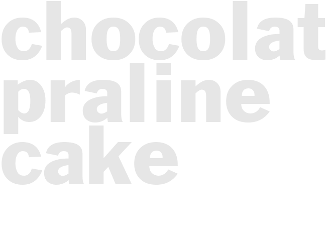 CHOCOLATE PRALINE CAKE
