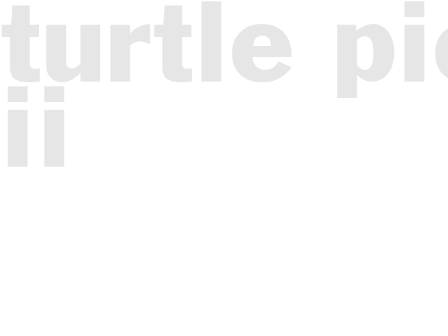 TURTLE PIE II 