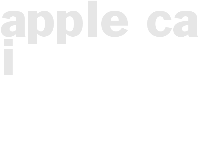 Apple Cake I