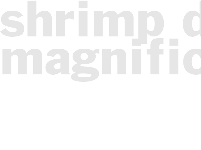 Shrimp Dip Magnifico