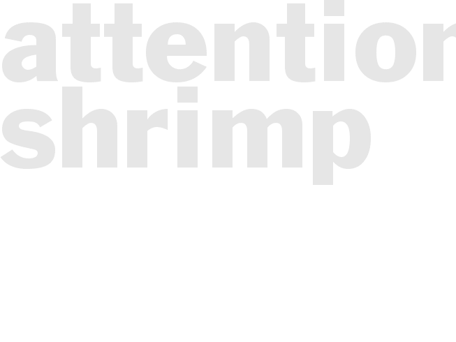 ATTENTION! SHRIMP