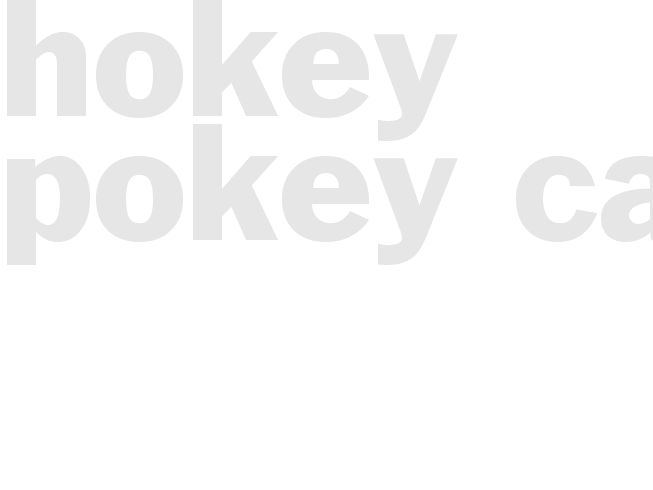 * HOKEY POKEY CAKE *