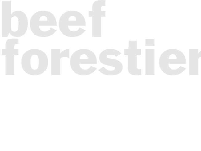 Beef Forestiere