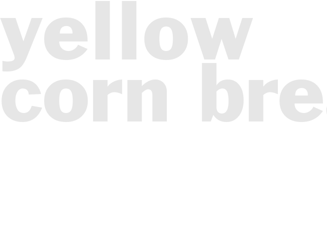 Yellow corn bread