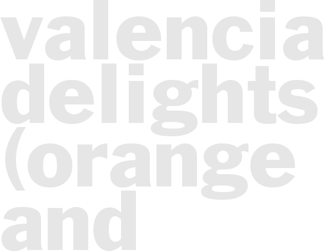 Valencia Delights  (orange and chocolate)