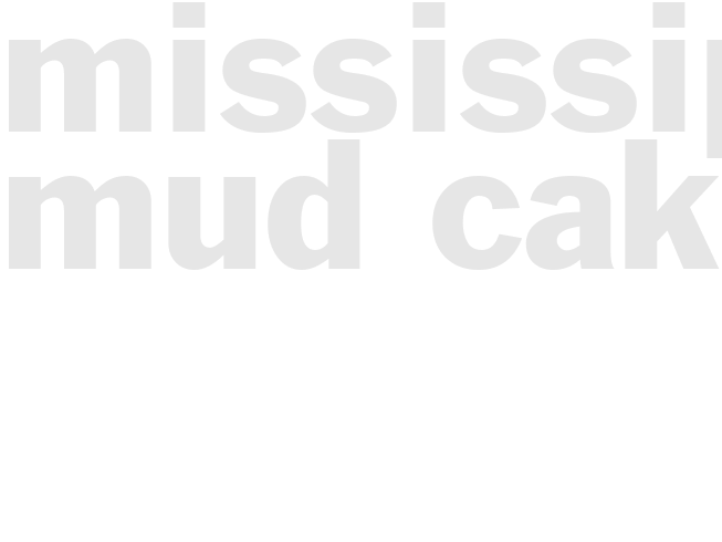 Mississippi Mud cake