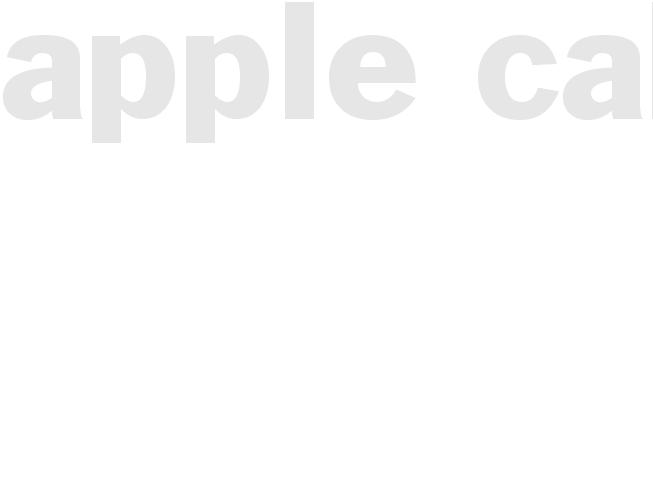 Apple Cake