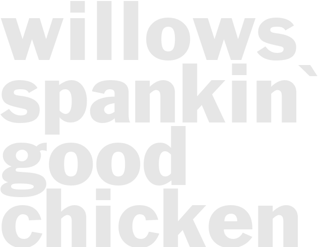 Willows Spankin' Good Chicken and Rice